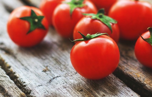 Būtiskākie tomātu kaitēkļi siltumnīcās