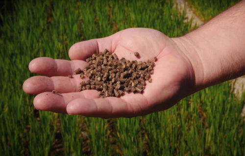 Yara iegādājas Somijas Ecolan, piesakot sevi organisko mēslošanas līdzekļu tirgū