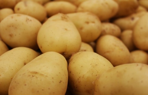 Vietējo kartupeļu līdz pavasarim var nepietikt