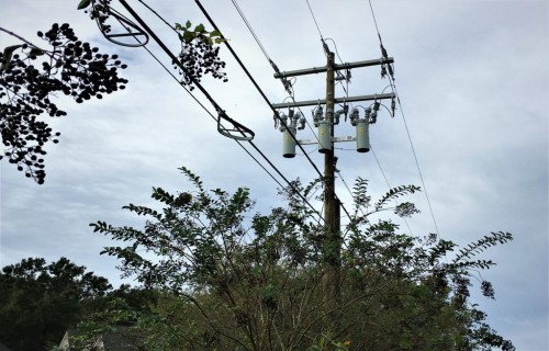 Elektrolīniju trašu attīrīšana no kokiem un krūmiem – kas jāzina, ja tavu īpašumu šķērso gaisvadu elektrolīnija