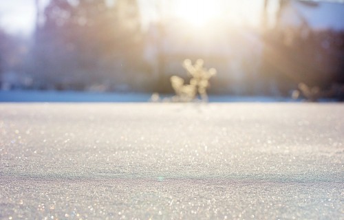 Vebinārā informēs par atbalsta iespējām pasākumā "Ieguldījumi materiālajos aktīvos"