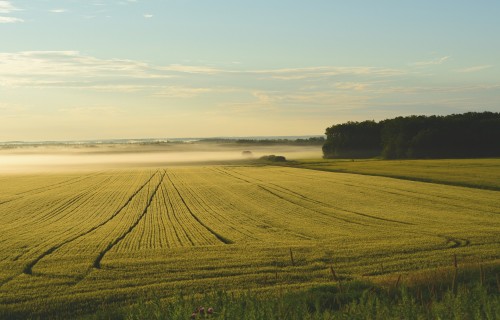 Zemnieku saeima vērtē 2021. gadu lauksaimniecībā