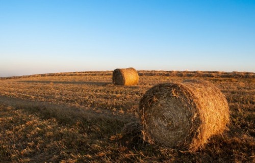 Traktortehnikai jaunas prasības apgaismes un bremžu iekārtām