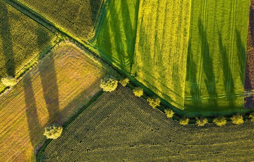 Saglabājas liels pieprasījums pēc lauksaimniecības zemes