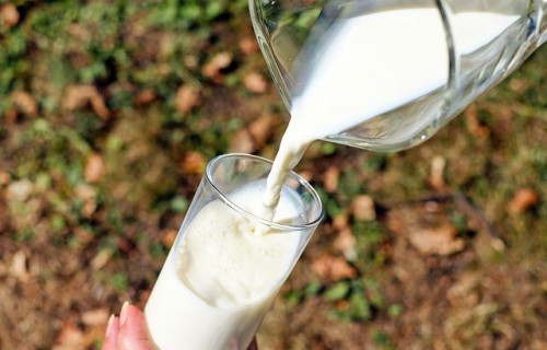 Uzdevums – nodrošināt veselīgu piena asinsriti