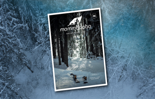 MAMMADABA žurnāls aicina baudīt dabas pārvērtības ziemā