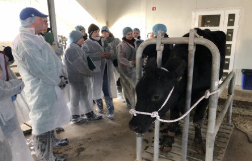 Lopkopības un veterinārmedicīnas konsultanti papildina zināšanas