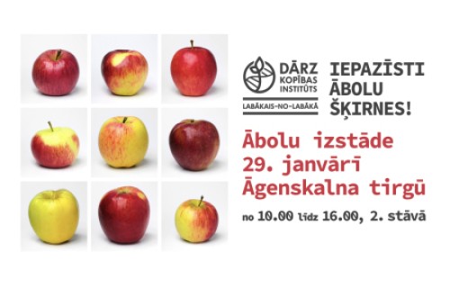 Izstāde - ziemas āboli tirgū