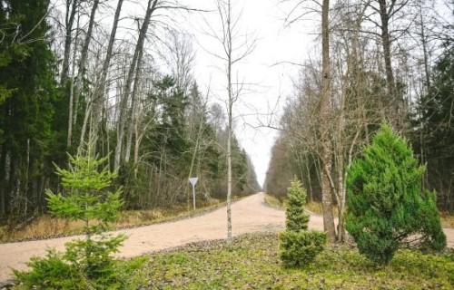 Kā radušies meža autoceļu nosaukumi: vēstures līkloči, neparasti nostāsti un nejaušības