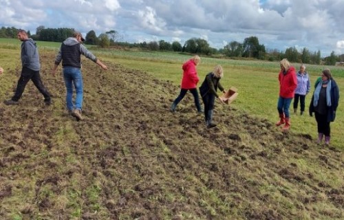 Bioloģiskās daudzveidības atjaunošanas metodes ilggadīgajos zālājos