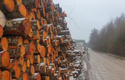 Apaļo kokmateriālu produktu cenu tendences