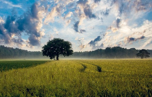 Stāstīt, rādīt, pamatot – ceļš uz izglītotu un vienotu sabiedrību