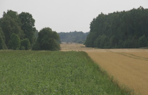 No 27. aprīļa var pieteikties platību maksājumiem