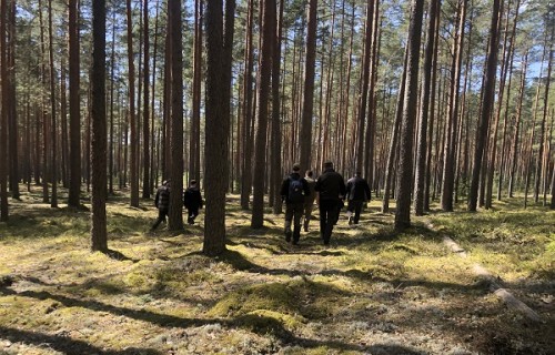 Izvērtēs pirms 30 gadiem īstenotus biotehniskos pasākumus ar ķērpjiem bagātu priežu mežu apsaimniekošanai