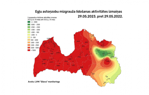 Valsts meža dienests rosina turpināt egļu astoņzobu mizgrauža izplatības ierobežojošos pasākumus