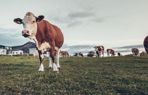 Vai esi gatavs nekļūdīgai saimniekošanai ar RFID?