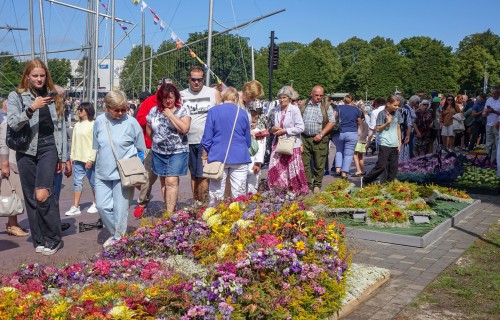 Noskaidroti 21. starptautiskā ziedu paklāju festivāla uzvarētāji