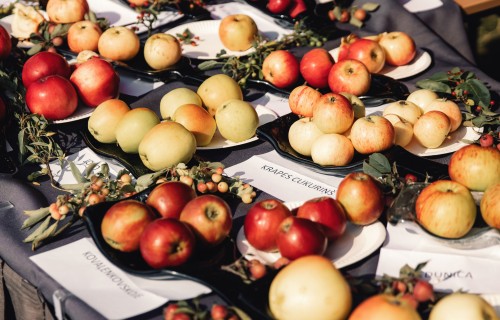Latvijas ābolu sidra ceļš ved uz starptautiskiem panākumiem