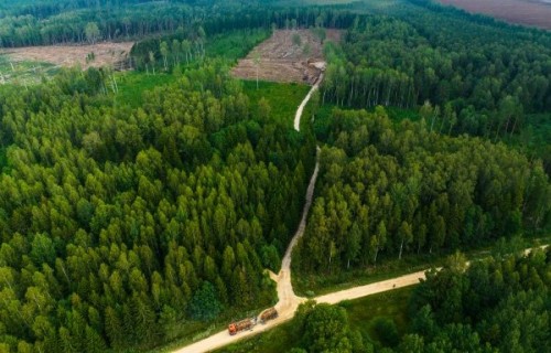 Koksnes produktu piegāžu plānošanai LVM izmanto jaunākās paaudzes risinājumu