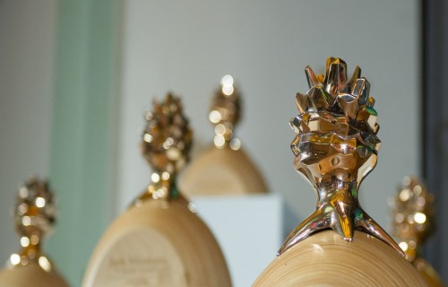 Meža nozares gada balvas “Zelta čiekurs 2023” laureātus apbalvos 7.decembrī Jelgavā