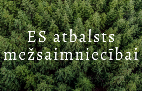 Pieejams atbalsts mežsaimniecības nozarē