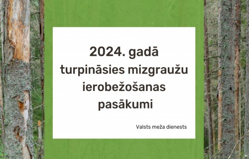 2024. gadā turpināsies mizgraužu ierobežošanas pasākumi