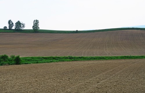 Kurzemē un Zemgalē sākti kultūraugu sēšanas darbi