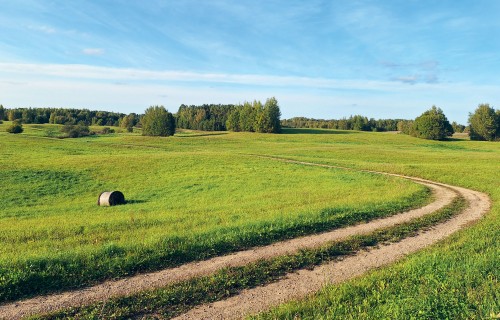 Lauksaimniecībā izmantojamās zemes noma – tirgus, kas mainās