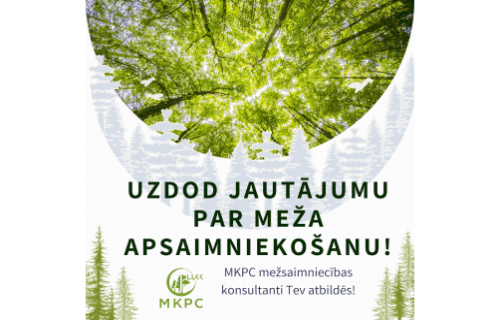 Uzdod savu jautājumu mežsaimniecības konsultantam