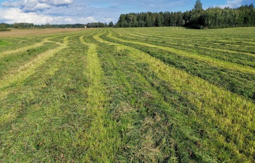Līdz 17. jūnijam var pieteikties platību maksājumiem