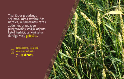 VAAD atgādina par glifosātu saturošu augu aizsardzības līdzekļu pareizu lietošanu