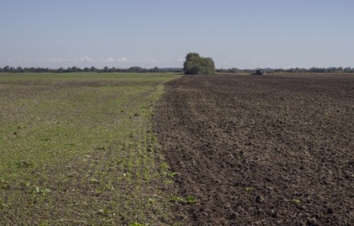 Kaļķošanas materiālu, organisko un organominerālo mēslošanas līdzekļu un augu augšanas veicinātāju ražotājiem, ievedējiem un iepakotājiem jāievēro jaunas kvalitātes prasības