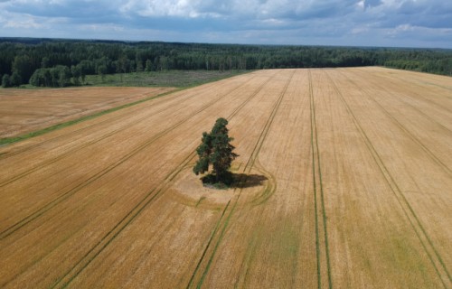No 15. aprīļa iespējams pieteikties platību maksājumiem
