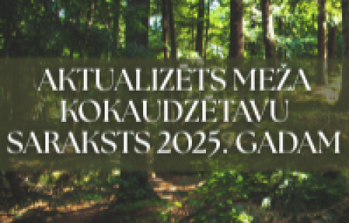 Aktualizēts meža kokaudzētavu saraksts 2025. gadam
