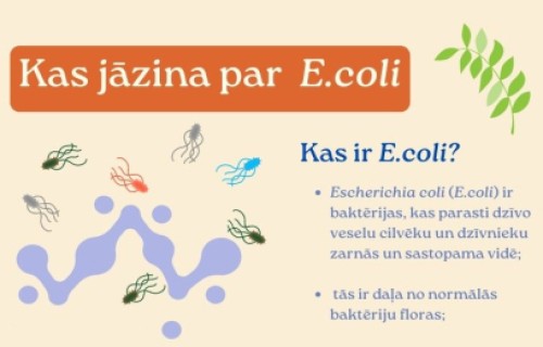 Kas katram jāzina par bīstamo baktēriju E.coli