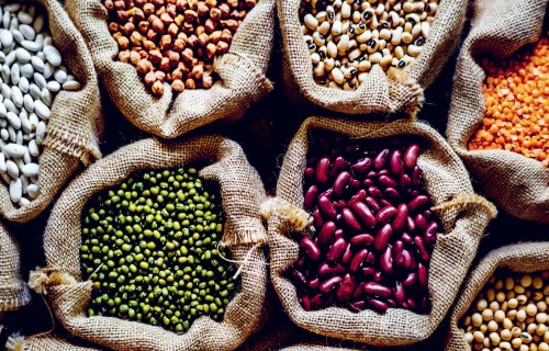 Pākšaugu izmantošanas potenciāls alternatīviem piena produktiem – izaicinājums un iespēja Latvijas ražotājiem