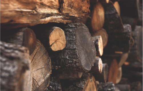 Meža biomasas atlantā - viss par Baltijā pieejamo kurināmo koksni