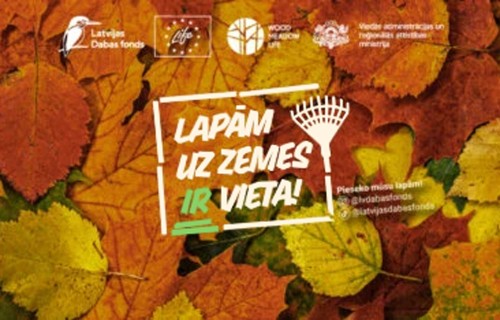 Latvijas Dabas fonds atgādina: lapām uz zemes ir vieta!
