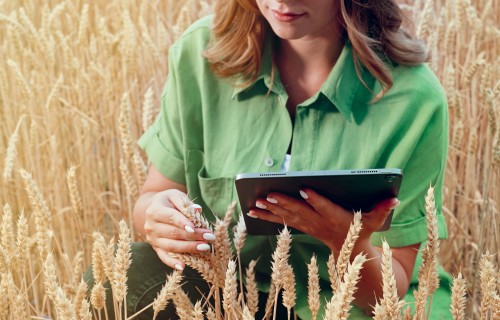 Saimniecību uzskaites datu tīkls (SUDAT)