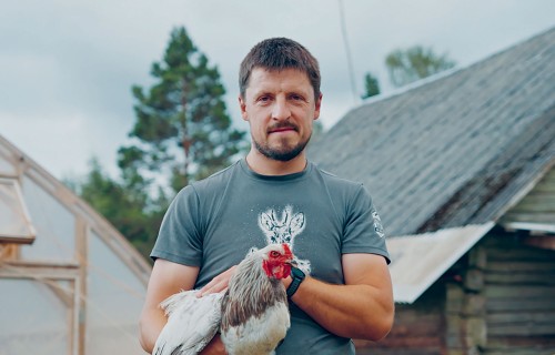 Putnkopja Edgara saimniecība, kur vistas dzīvo siltumnīcās