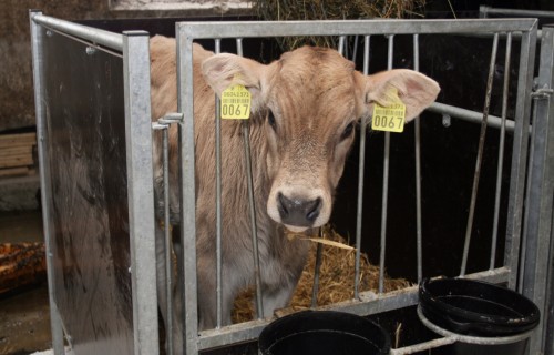 Informācija par ekonomiskās klasifikācijas koda (EKK) maiņu