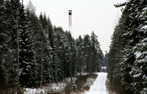 Tiešās pārvaldes iestādes var pieteikties atbalstam meža bojājumu profilaksei