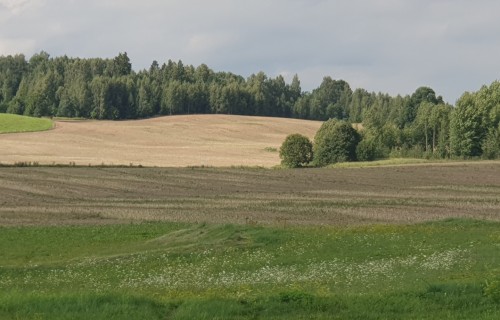 Publicēts platību maksājumu grafiks maksājumiem 2026. gada sākumā