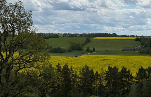 No 15. janvāra var pieteikties īstermiņa aizdevumam no ISIP