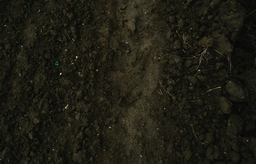 Spēkā stājies augsnes monitoringa likums