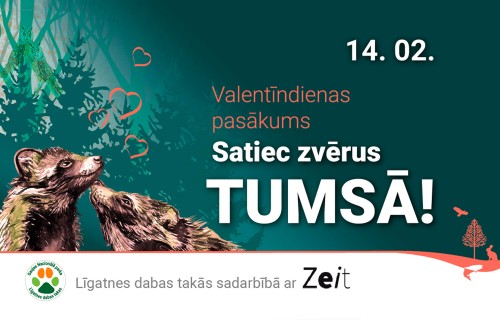Valentīndienas vakars lukturīšu gaismā: Līgatnes dabas takas aicina uz pārgājieniem “Satiec zvērus tumsā”