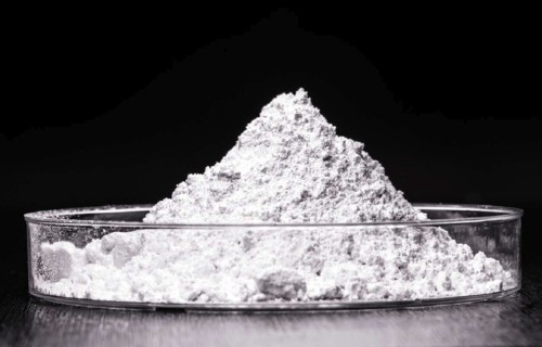 DIATOMĪTS – seno ūdeņu dāvana mūsdienu dārzniekam