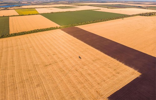 “Mercosur”: Parlaments apstiprina drošības klauzulas, lai aizsargātu ES lauksaimniecību