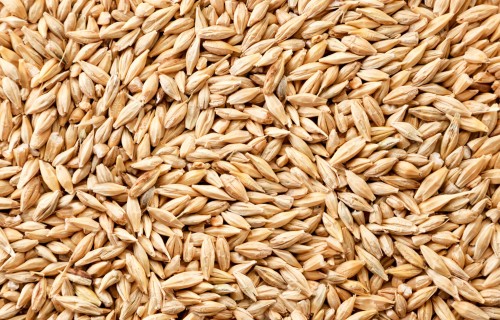 Prognozes liecina par turpmāku eksporta pieaugumu