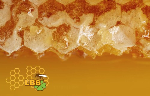 Medus tirgus nedienas